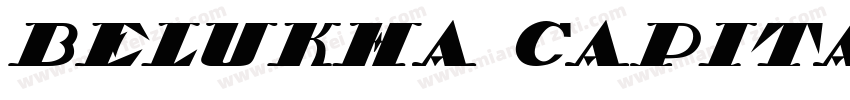Belukha Capital字体转换